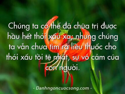 Chúng ta có thể đã chữa trị được hầu hết thói xấu xa; nhưng chúng ta vẫn chưa tìm ra liều thuốc cho thói xấu tồi tệ nhất, sự vô cảm của con người.