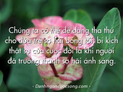 Chúng ta có thể dễ dàng tha thứ cho đúa trẻ sợ hãi bóng tối; bi kịch thật sự của cuộc đời là khi người đã trưởng thành sợ hãi ánh sáng.