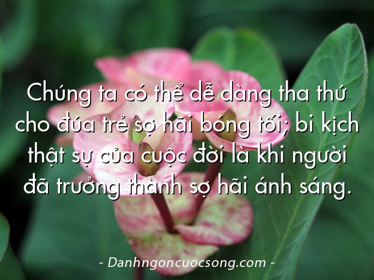 Chúng ta có thể dễ dàng tha thứ cho đúa trẻ sợ hãi bóng tối; bi kịch thật sự của cuộc đời là khi người đã trưởng thành sợ hãi ánh sáng.