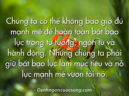 Chúng ta có thể không bao giờ đủ mạnh mẽ để hoàn toàn bất bạo lực trong tư tưởng, ngôn từ và hành động. Nhưng chúng ta phải giữ bất bạo lực làm mục tiêu và nỗ lực mạnh mẽ vươn tới nó.