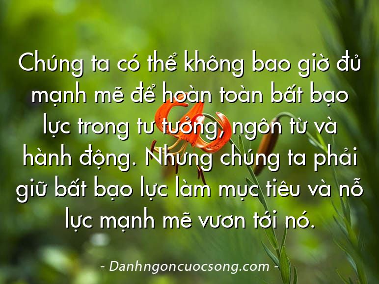 Chúng ta có thể không bao giờ đủ mạnh mẽ để hoàn toàn bất bạo lực trong tư tưởng, ngôn từ và hành động. Nhưng chúng ta phải giữ bất bạo lực làm mục tiêu và nỗ lực mạnh mẽ vươn tới nó.
