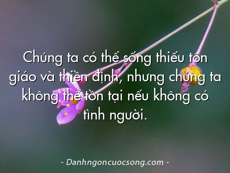 Chúng ta có thể sống thiếu tôn giáo và thiền định, nhưng chúng ta không thể tồn tại nếu không có tình người.