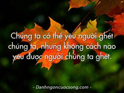 Chúng ta có thể yêu người ghét chúng ta, nhưng không cách nào yêu được người chúng ta ghét.