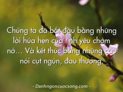 Chúng ta đã bắt đầu bằng những lời hứa hẹn của tình yêu chớm nở… Và kết thúc bằng những câu nói cụt ngủn, đau thương.