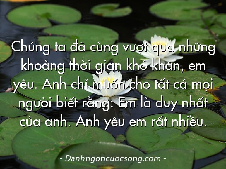 Chúng ta đã cùng vượt qua những khoảng thời gian khó khăn, em yêu. Anh chỉ muốn cho tất cả mọi người biết rằng: Em là duy nhất của anh. Anh yêu em rất nhiều.