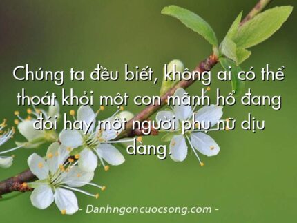 Chúng ta đều biết, không ai có thể thoát khỏi một con mãnh hổ đang đói hay một người phụ nữ dịu dàng.