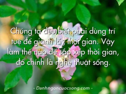 Chúng ta đều biết phầi dùng trí tuệ để giành lấy thời gian. Vậy làm thế nào để sắp xếp thời gian, đó chính là nghệ thuật sống.