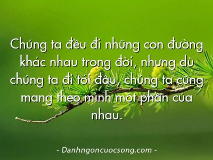 Chúng ta đều đi những con đường khác nhau trong đời, nhưng dù chúng ta đi tới đâu, chúng ta cũng mang theo mình một phần của nhau.