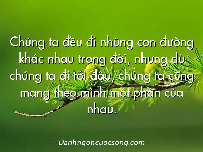 Chúng ta đều đi những con đường khác nhau trong đời, nhưng dù chúng ta đi tới đâu, chúng ta cũng mang theo mình một phần của nhau.