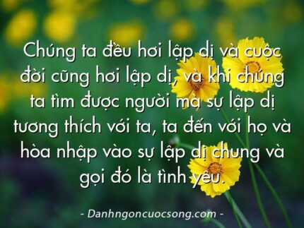 Chúng ta đều hơi lập dị và cuộc đời cũng hơi lập dị, và khi chúng ta tìm được người mà sự lập dị tương thích với ta, ta đến với họ và hòa nhập vào sự lập dị chung và gọi đó là tình yêu.