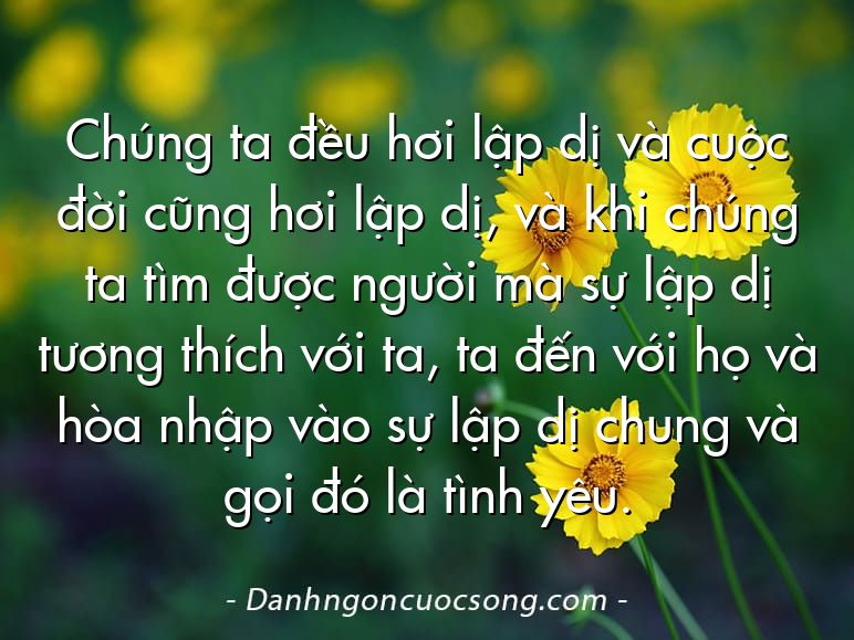 Chúng ta đều hơi lập dị và cuộc đời cũng hơi lập dị, và khi chúng ta tìm được người mà sự lập dị tương thích với ta, ta đến với họ và hòa nhập vào sự lập dị chung và gọi đó là tình yêu.
