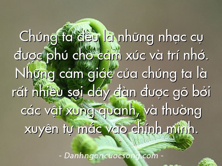 Chúng ta đều là những nhạc cụ được phú cho cảm xúc và trí nhớ. Những cảm giác của chúng ta là rất nhiều sợi dây đàn được gõ bởi các vật xung quanh, và thường xuyên tự mắc vào chính mình.