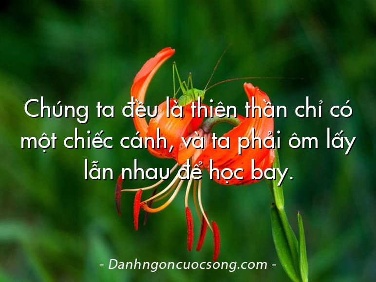 Chúng ta đều là thiên thần chỉ có một chiếc cánh, và ta phải ôm lấy lẫn nhau để học bay.