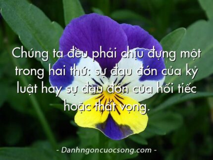 Chúng ta đều phải chịu đựng một trong hai thứ: sự đau đớn của kỷ luật hay sự đau đớn của hối tiếc hoặc thất vọng.
