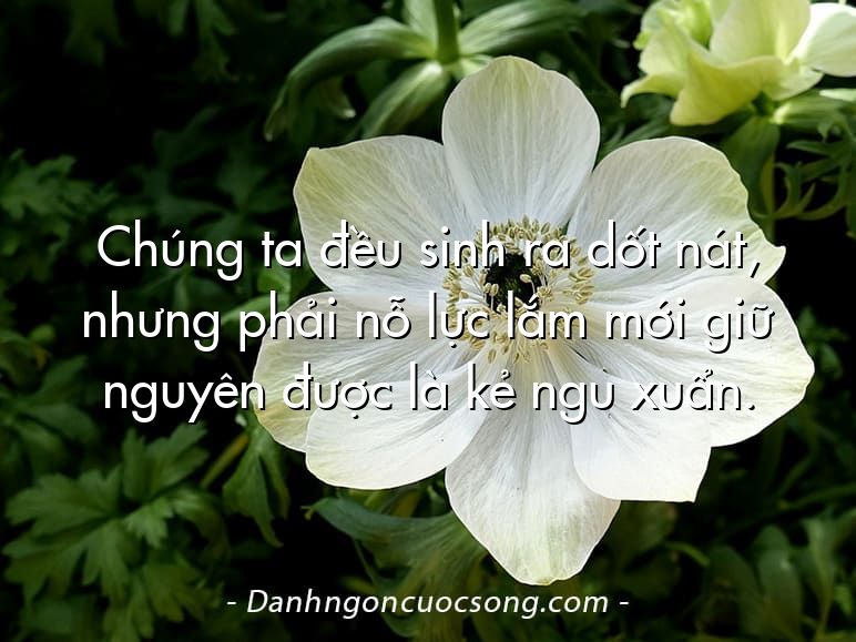 Chúng ta đều sinh ra dốt nát, nhưng phải nỗ lực lắm mới giữ nguyên được là kẻ ngu xuẩn.