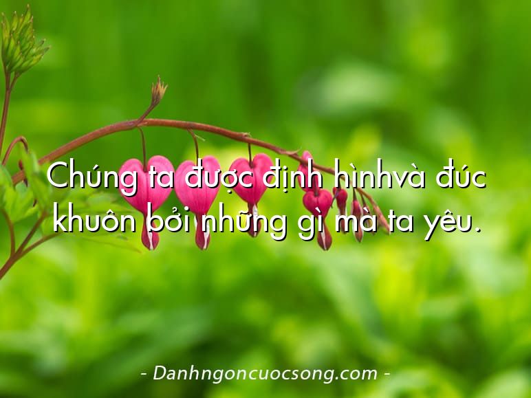 Chúng ta được định hìnhvà đúc khuôn bởi những gì mà ta yêu.