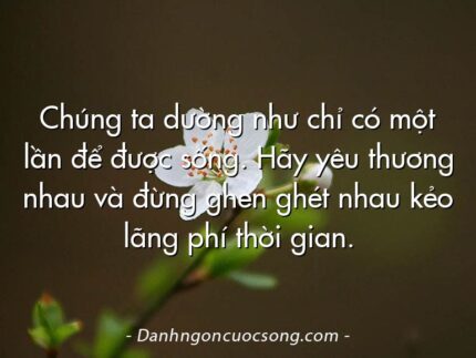 Chúng ta dường như chỉ có một lần để được sống. Hãy yêu thương nhau và đừng ghen ghét nhau kẻo lãng phí thời gian.