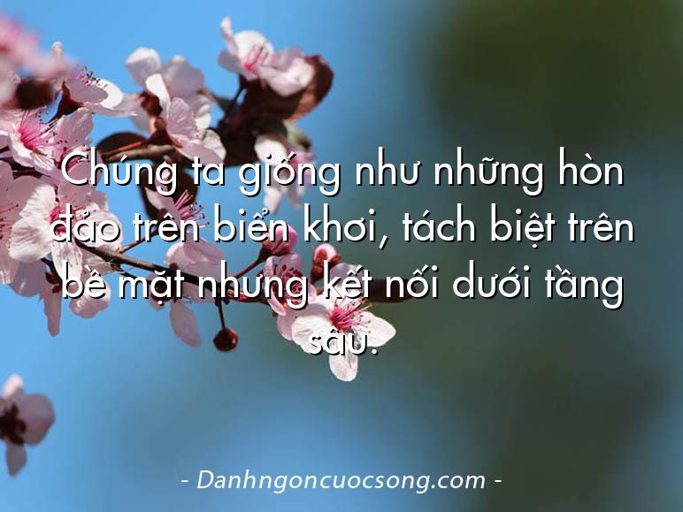 Chúng ta giống như những hòn đảo trên biển khơi, tách biệt trên bề mặt nhưng kết nối dưới tầng sâu.