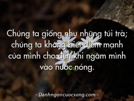 Chúng ta giống như những túi trà; chúng ta không biết điểm mạnh của mình cho đến khi ngâm mình vào nước nóng.
