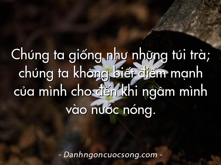 Chúng ta giống như những túi trà; chúng ta không biết điểm mạnh của mình cho đến khi ngâm mình vào nước nóng.