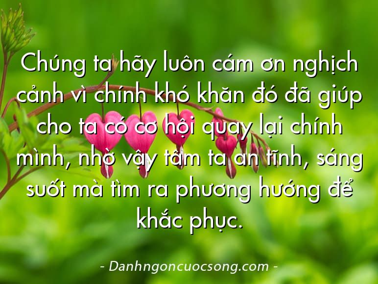 Chúng ta hãy luôn cám ơn nghịch cảnh vì chính khó khăn đó đã giúp cho ta có cơ hội quay lại chính mình, nhờ vậy tâm ta an tĩnh, sáng suốt mà tìm ra phương hướng để khắc phục.