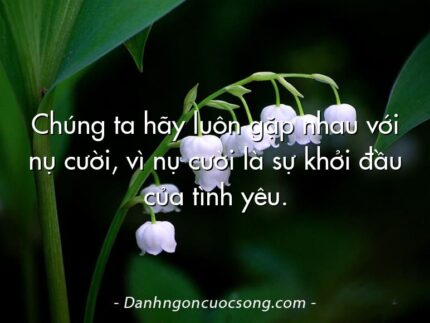 Chúng ta hãy luôn gặp nhau với nụ cười, vì nụ cười là sự khởi đầu của tình yêu.