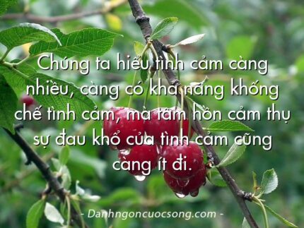Chúng ta hiểu tình cảm càng nhiều, càng có khả năng khống chế tình cảm, mà tâm hồn cảm thụ sự đau khổ của tình cảm cũng càng ít đi.