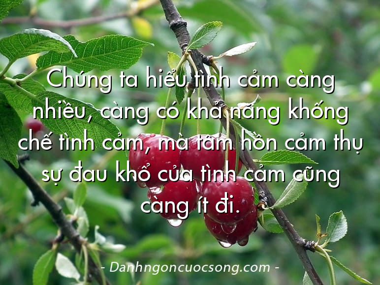 Chúng ta hiểu tình cảm càng nhiều, càng có khả năng khống chế tình cảm, mà tâm hồn cảm thụ sự đau khổ của tình cảm cũng càng ít đi.