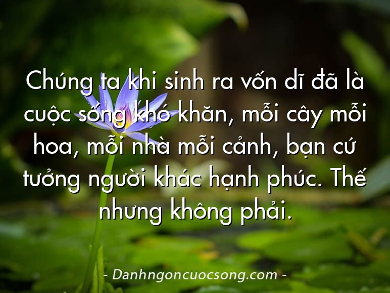 Chúng ta khi sinh ra vốn dĩ đã là cuộc sống khó khăn, mỗi cây mỗi hoa, mỗi nhà mỗi cảnh, bạn cứ tưởng người khác hạnh phúc. Thế nhưng không phải.