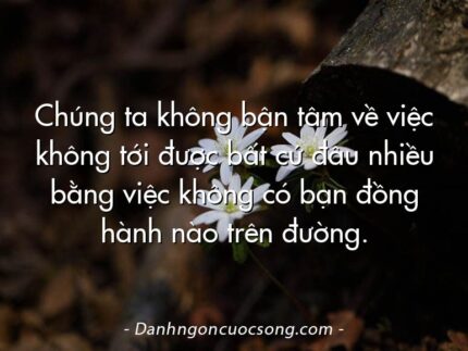 Chúng ta không bận tâm về việc không tới được bất cứ đâu nhiều bằng việc không có bạn đồng hành nào trên đường.