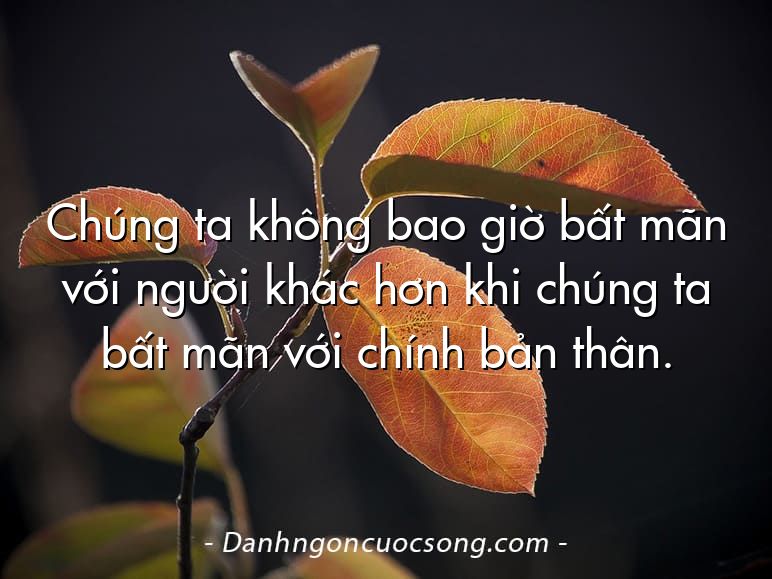 Chúng ta không bao giờ bất mãn với người khác hơn khi chúng ta bất mãn với chính bản thân.