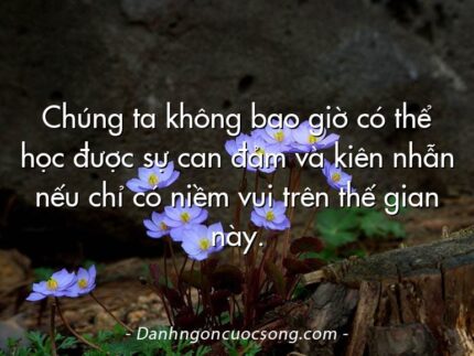 Chúng ta không bao giờ có thể học được sự can đảm và kiên nhẫn nếu chỉ có niềm vui trên thế gian này.