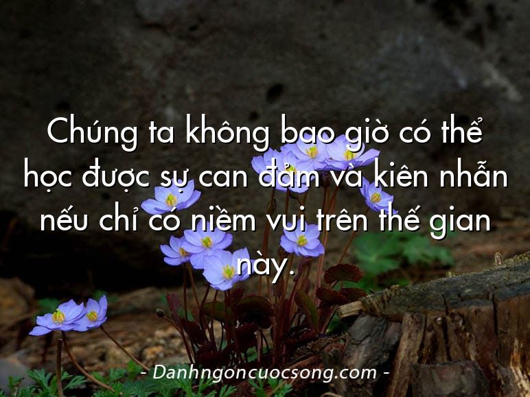 Chúng ta không bao giờ có thể học được sự can đảm và kiên nhẫn nếu chỉ có niềm vui trên thế gian này.