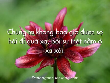 Chúng ta không bao giờ được sợ hãi đi quá xa, bởi sự thật nằm ở xa xôi.