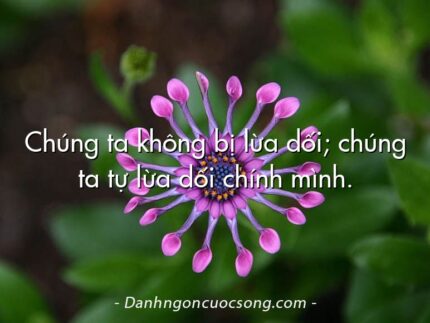 Chúng ta không bị lừa dối; chúng ta tự lừa dối chính mình.