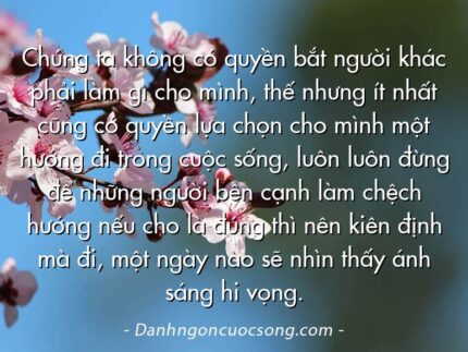 Chúng ta không có quyền bắt người khác phải làm gì cho mình, thế nhưng ít nhất cũng có quyền lựa chọn cho mình một hướng đi trong cuộc sống, luôn luôn đừng để những người bên cạnh làm chệch hướng nếu cho là đúng thì nên kiên định mà đi, một ngày nào sẽ nhìn thấy ánh sáng hi vọng.