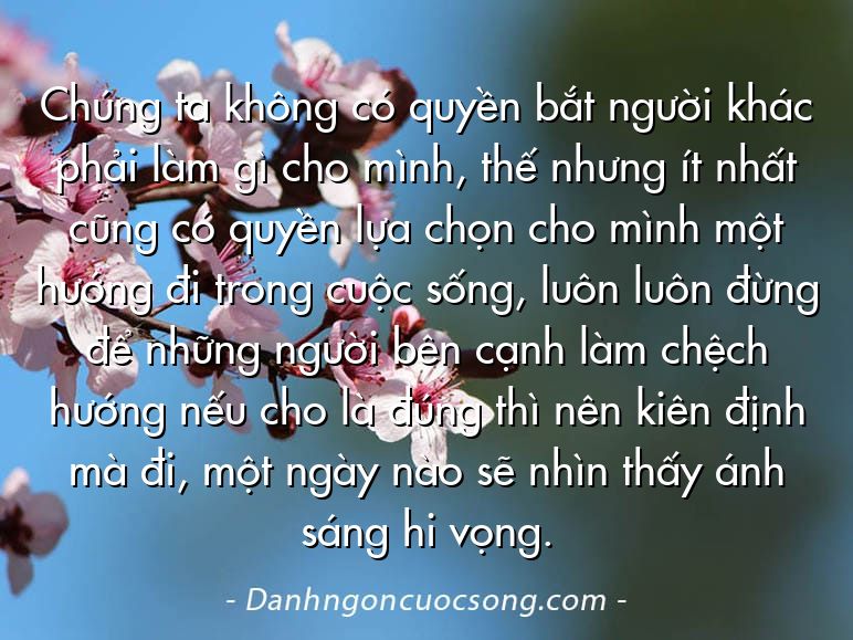 Chúng ta không có quyền bắt người khác phải làm gì cho mình, thế nhưng ít nhất cũng có quyền lựa chọn cho mình một hướng đi trong cuộc sống, luôn luôn đừng để những người bên cạnh làm chệch hướng nếu cho là đúng thì nên kiên định mà đi, một ngày nào sẽ nhìn thấy ánh sáng hi vọng.