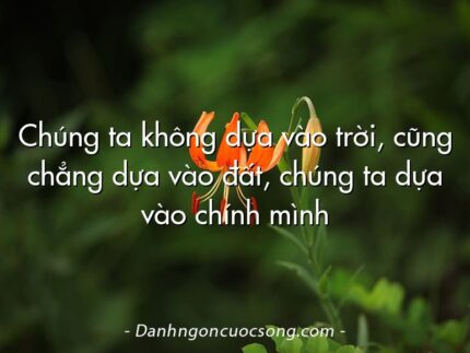 Chúng ta không dựa vào trời, cũng chẳng dựa vào đất, chúng ta dựa vào chính mình