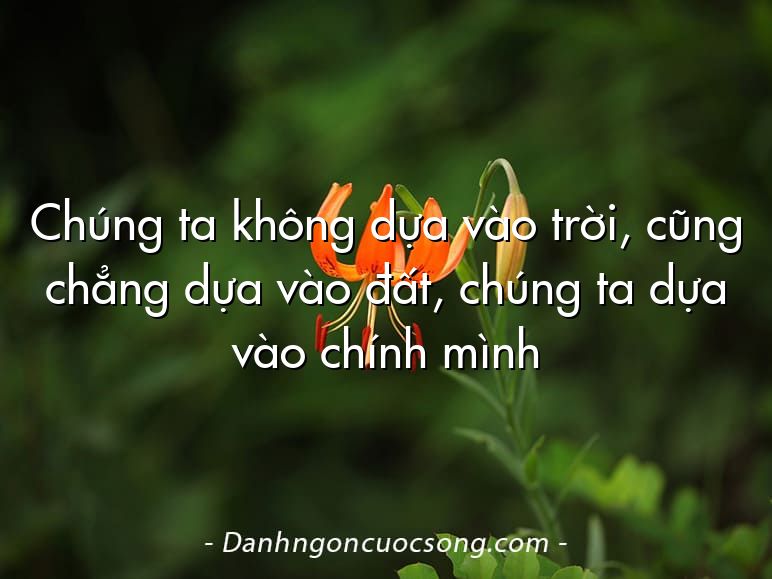Chúng ta không dựa vào trời, cũng chẳng dựa vào đất, chúng ta dựa vào chính mình