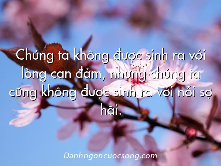 Chúng ta không được sinh ra với lòng can đảm, nhưng chúng ta cũng không được sinh ra với nỗi sợ hãi.