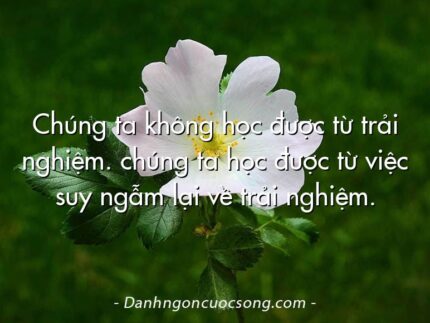 Chúng ta không học được từ trải nghiệm. chúng ta học được từ việc suy ngẫm lại về trải nghiệm.