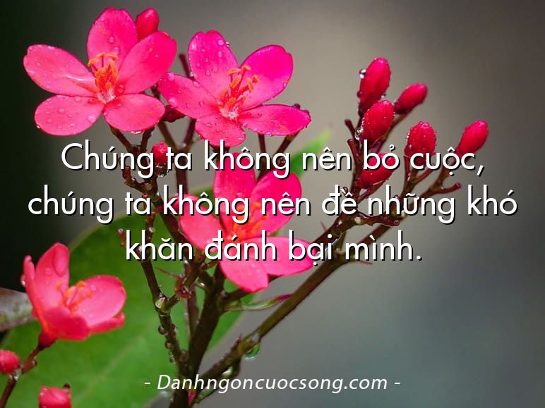 Chúng ta không nên bỏ cuộc, chúng ta không nên đề những khó khăn đánh bại mình.