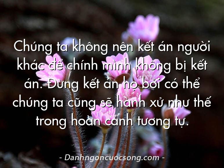 Chúng ta không nên kết án người khác để chính mình không bị kết án. Đừng kết án họ bởi có thể chúng ta cũng sẽ hành xử như thế trong hoàn cảnh tương tự.