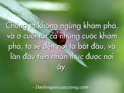 Chúng ta không ngừng khám phá, và ở cuối tất cả những cuộc khám phá, ta sẽ đến nơi ta bắt đầu, và lần đầu tiên nhận thức được nơi ấy.