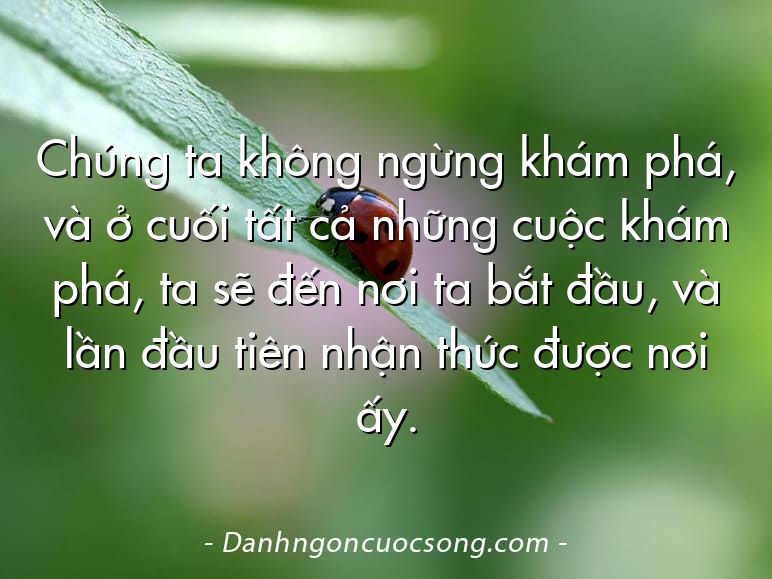 Chúng ta không ngừng khám phá, và ở cuối tất cả những cuộc khám phá, ta sẽ đến nơi ta bắt đầu, và lần đầu tiên nhận thức được nơi ấy.