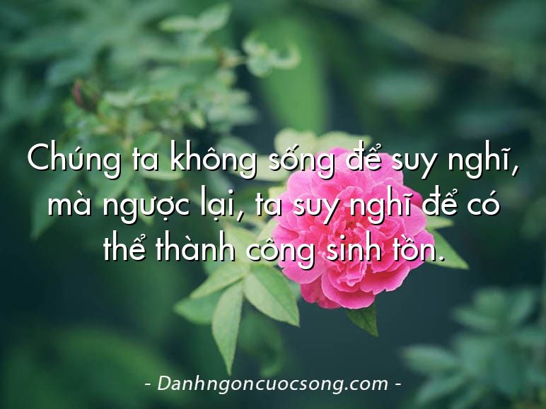 Chúng ta không sống để suy nghĩ, mà ngược lại, ta suy nghĩ để có thể thành công sinh tồn.
