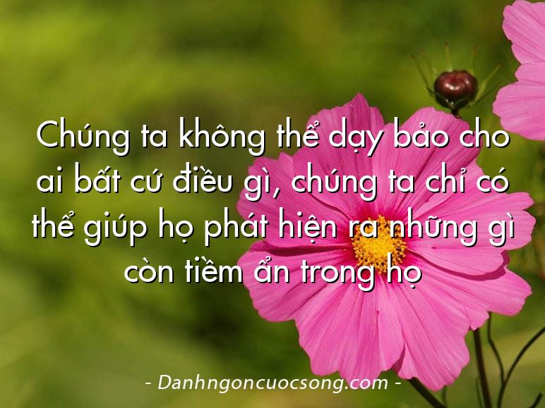 Chúng ta không thể dạy bảo cho ai bất cứ điều gì, chúng ta chỉ có thể giúp họ phát hiện ra những gì còn tiềm ẩn trong họ