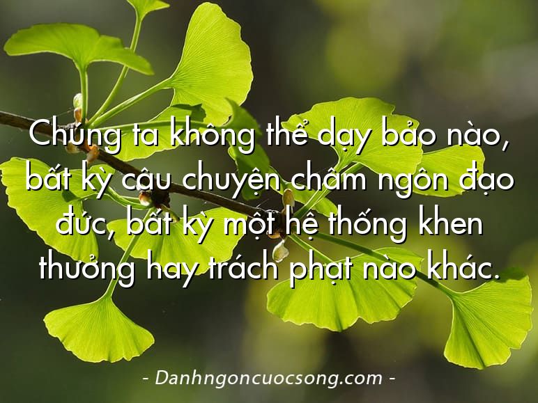 Chúng ta không thể dạy bảo nào, bất kỳ câu chuyện châm ngôn đạo đức, bất kỳ một hệ thống khen thưởng hay trách phạt nào khác.