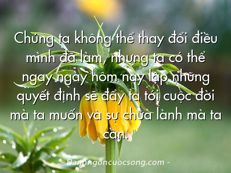 Chúng ta không thể thay đổi điều mình đã làm, nhưng ta có thể ngay ngày hôm nay lập những quyết định sẽ đẩy ta tới cuộc đời mà ta muốn và sự chữa lành mà ta cần.