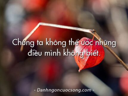 Chúng ta không thể ước những điều mình không biết.